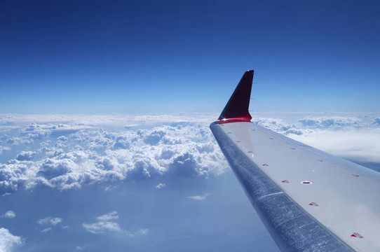 飛機(jī)機(jī)翼