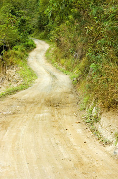 蜿蜒的道路