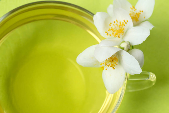 茉莉花茶