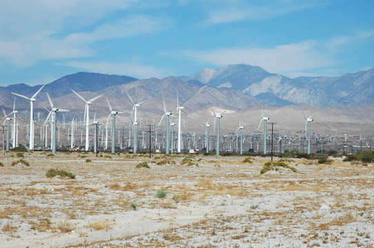 加利福尼亞風電場