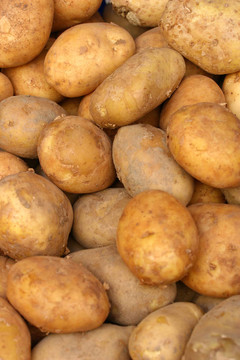 生土豆