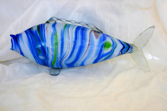 老Glass Fish