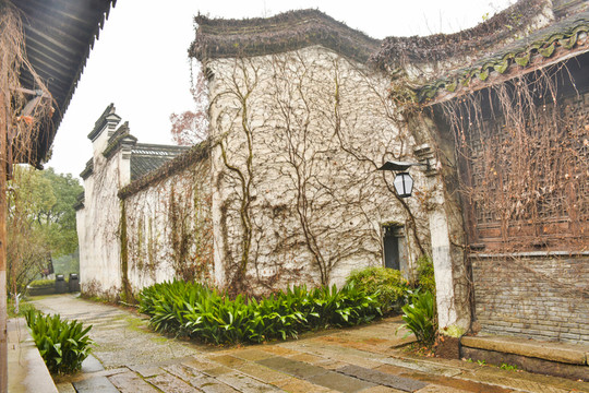 雨天烏鎮(zhèn)