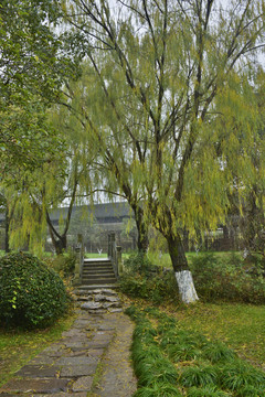 雨天園林