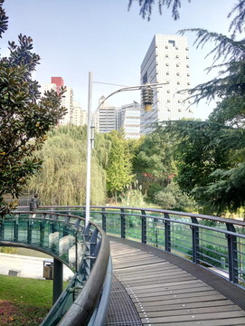 森林步道 森林棧道 木棧道