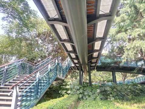 棧道 天橋 木棧道 森林棧道