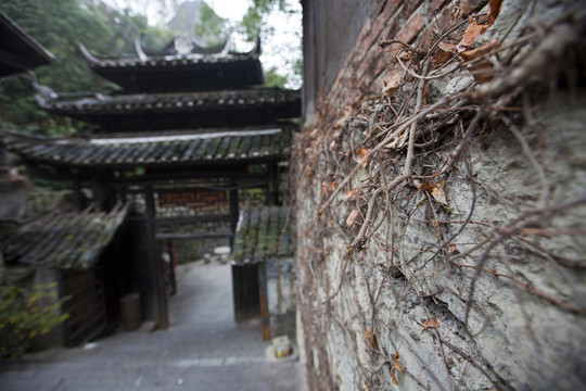 張家界土家風(fēng)情園