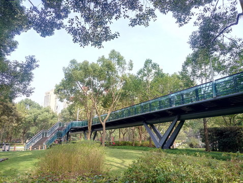 公園綠地 園林景觀