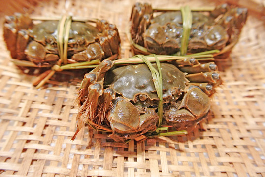 大閘蟹高清 大閘蟹特寫