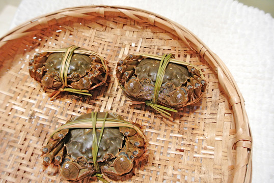 大閘蟹高清 大閘蟹特寫