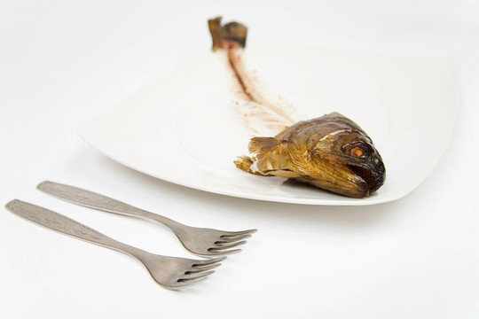 吃魚