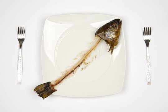 吃魚(yú)
