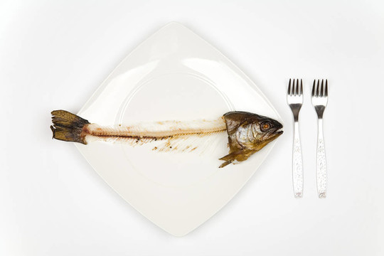 吃魚