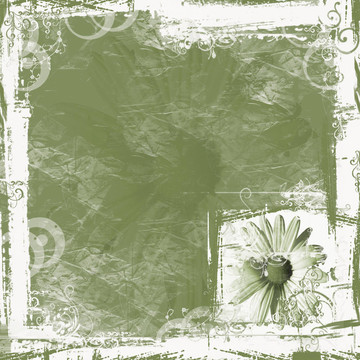 Green Daisy的背景