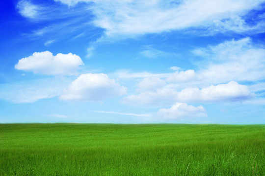 美麗的風(fēng)景