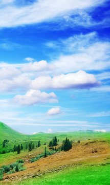山