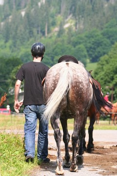 人與馬