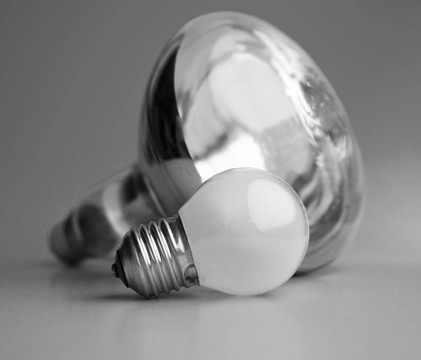 電燈泡