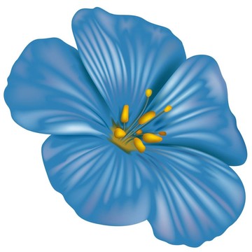 藍(lán)色的花01