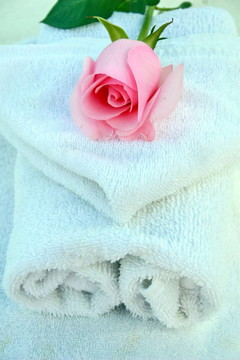 玫瑰SPA