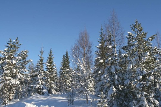 冬季景觀