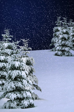 冬天的雪