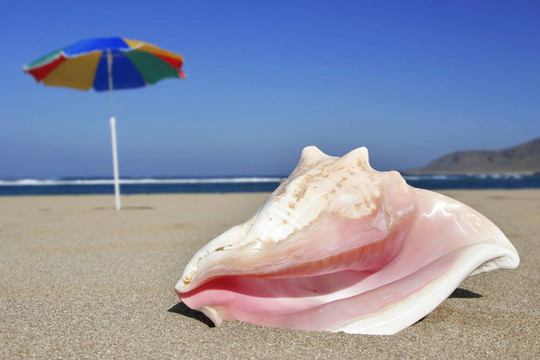 熱帶海灘
