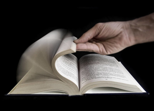 落葉的一本書