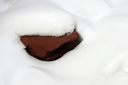 雪白的摘要