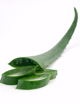 蘆薈