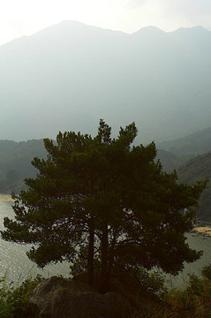 大嶼山