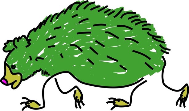 懶熊