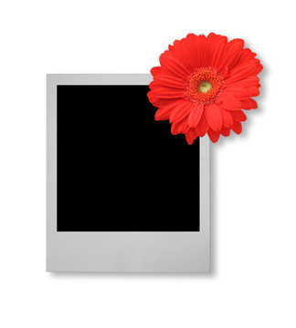 花動機單相框