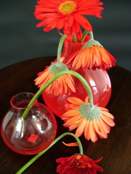 花瓶和雛菊