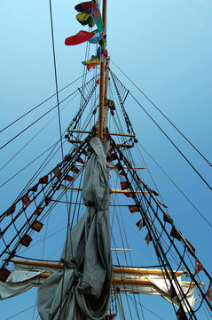 tallship肥大