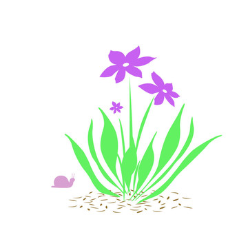 花了