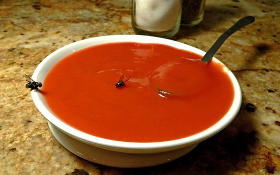 蒼蠅在湯