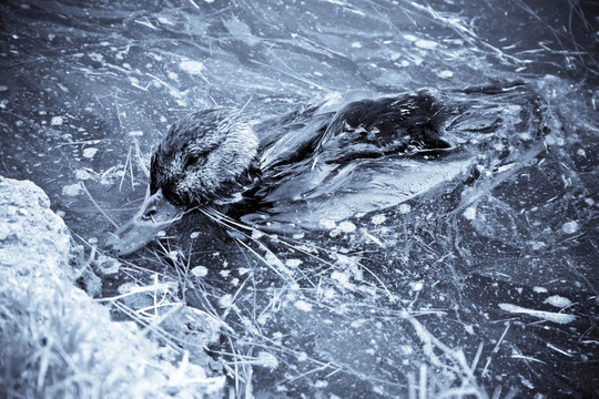死亡