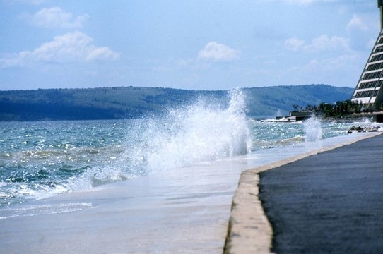 IL Mare意大利