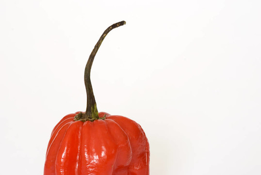 紅辣椒