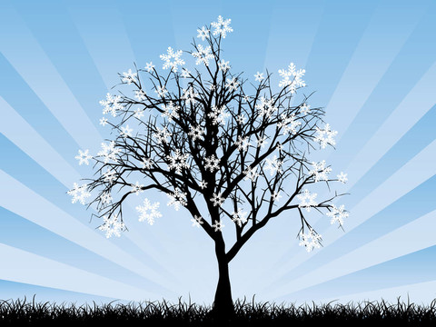 雪花樹(shù)