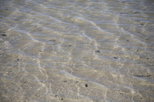 海水沙