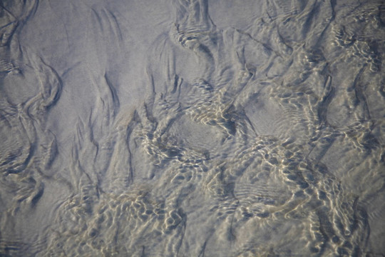 海水沙
