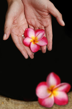 一方面，F(xiàn)lowers