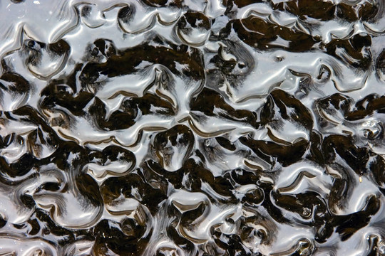 反射在春天的冰里