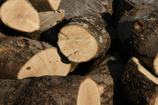 logs2