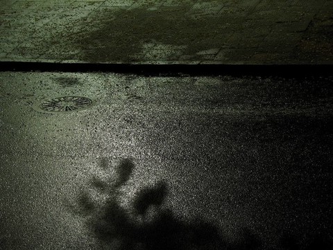 雨后的夜晚