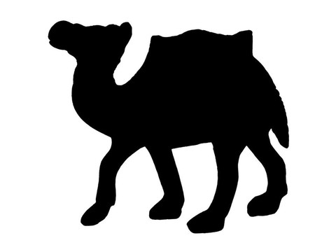 駱駝