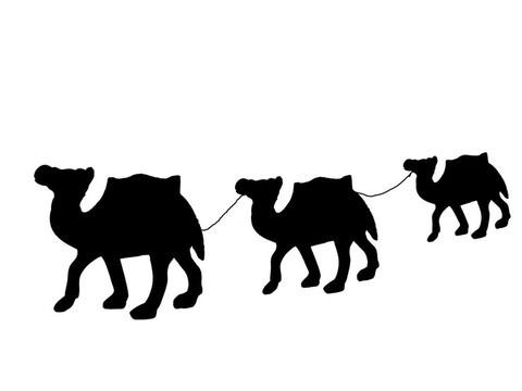 商隊(duì)的駱駝