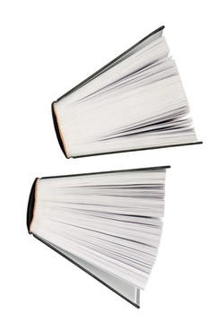 大的書